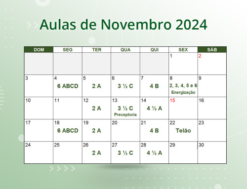 Cronograma de Aulas de Novembro de 2024.