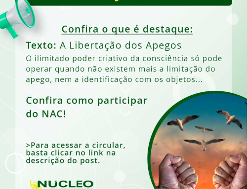 Circular Julho 2025