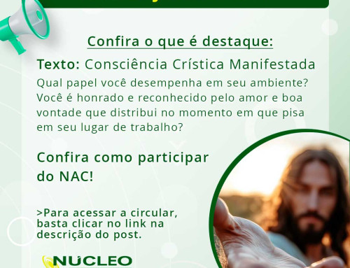 Circular Janeiro de 2026