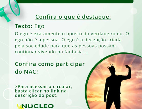 Circular Dezembro de 2025