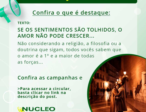 Circular Junho de 2026