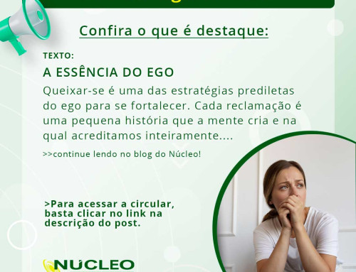 Circular Agosto de 2026